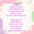 루아 - 성남시 분당구 황새울로319번길 6 | 루아