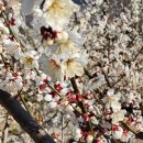 하동호호스테이 이미지