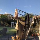 월정소랑 이미지