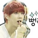 꽃힘