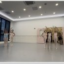 아르떼무용학원 이미지