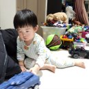 선곡목장 이미지