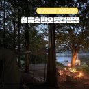 청풍갈비살 | 청풍호반오토캠핑장 A사이트 명당 애견동반 솔로캠핑