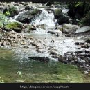 양평로그캠프 이미지