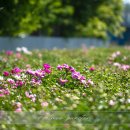 도동종합자동차정비 이미지