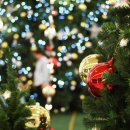 마린스테이 이미지