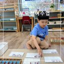 자연과학유치원 | 유치원 학부모참여수업 다양한 활동 후기