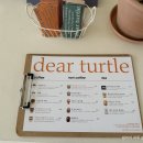 디어터틀(dear turtle) 이미지