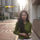 올리브그린