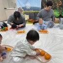 자이언트목장 | [천안 문센] 리틀자이언트 겨울학기 수강후기 (11개월 아기)