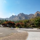 천황자동차야영장 이미지