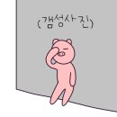 신월동115 이미지