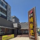 속초 해물찜 맛집 왱왱해물촌 현지인 추천 솔직후기