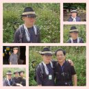 고도석 Daum카페