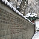 H8079 Daum카페
