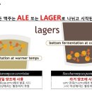더수제 이미지