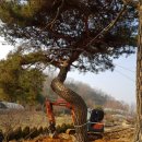 하루농장 이미지