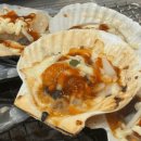 도희네맛집 이미지