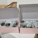 다원웰푸드 이미지