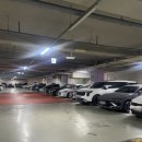 롯데마트시흥점LG화장품 | [올리브영] 올리브영 배곧신도시점 올리브영 매장 후기 및 주차정보