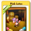 연꽃목장 이미지