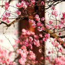 갯벌이야기 이미지