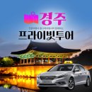 돌고래카 이미지