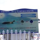 용소 태양광발전소 이미지