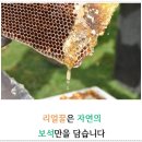 김정기농장 | 아카시아꿀, 자연에서온 달콤한 리얼꿀