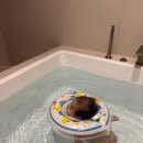 스테이 서린 | [아기랑숙소] 감다살 숙소 '스테이만록' 왕추천후기