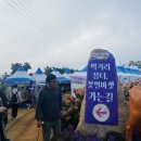 이레9 발전소 | 거창 감악산 아스타국화 축제 솔직한 후기 주차 정보 옷차림정보 억새밭 풍력발전소 경남 1박2일여행