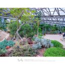 부국개발주식회사 여미지식물원 이미지