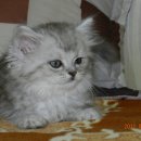 또하나의가족 이미지