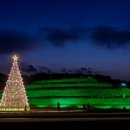 빛의 정원 - 20 이미지