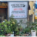 샤부돈 이미지