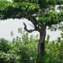 기독간호대학교 이미지