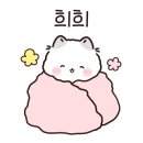 로이브로우아카데미