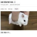 달빛 위에 그려지는 청춘 #44 이미지