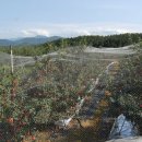 지리산골 이미지