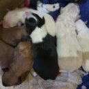 둘만농장 이미지