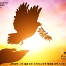 신성커뮤니티(주)
