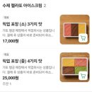 가또젤라또 | 새로 오픈한 행궁동 젤라또 맛집 | 초당옥수수 바닐라빈 가또 내돈내산
