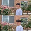남자커트준헤어미용실 | 합정 남자 머리 잘하는 미용실 | 피움헤어 합정 본점 남자 커트+다운펌 후기