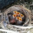 소통과 힐링의 시창작 이미지