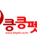 킁킁펫 이미지