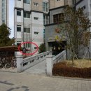 정관5로 이미지