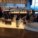 비비드 힐 이미지