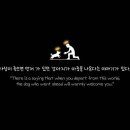 마이리틀퍼피 이미지