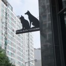 에버그린 펫 클리닉 이미지