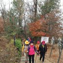 서리풀공원1-1 이미지